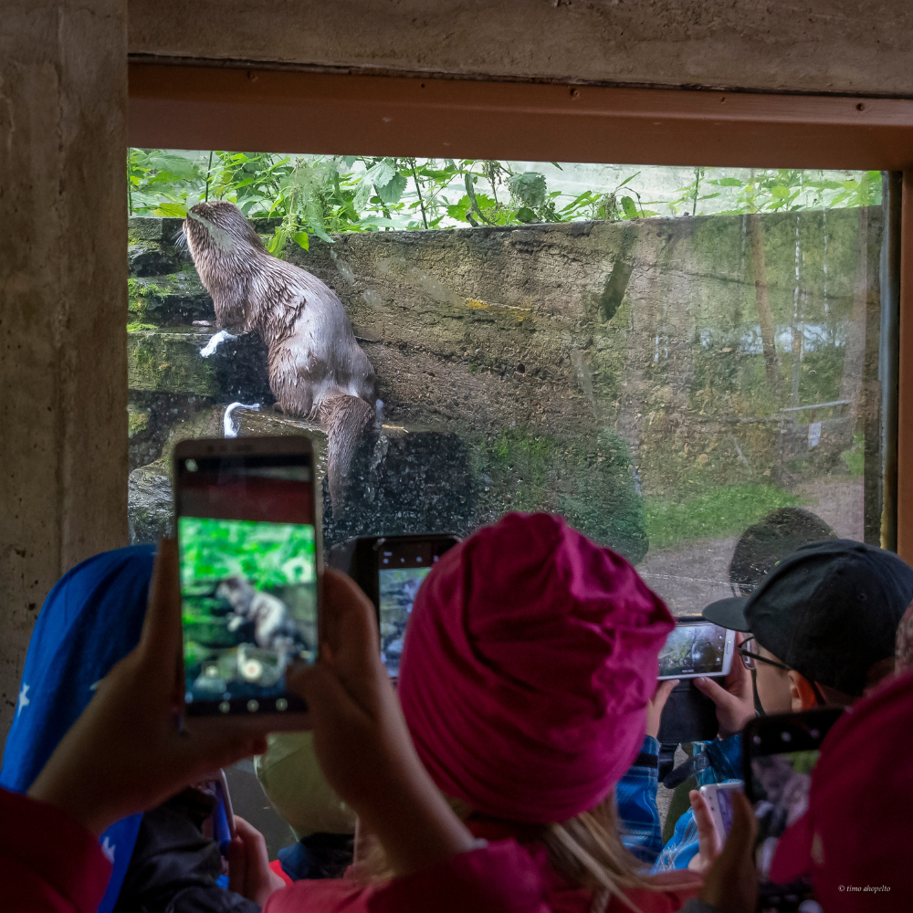 Ähtäri Zoo – Luokkaretki